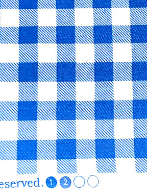 Light Twill Cotton Fabric White Blue Gingham Check Brother
