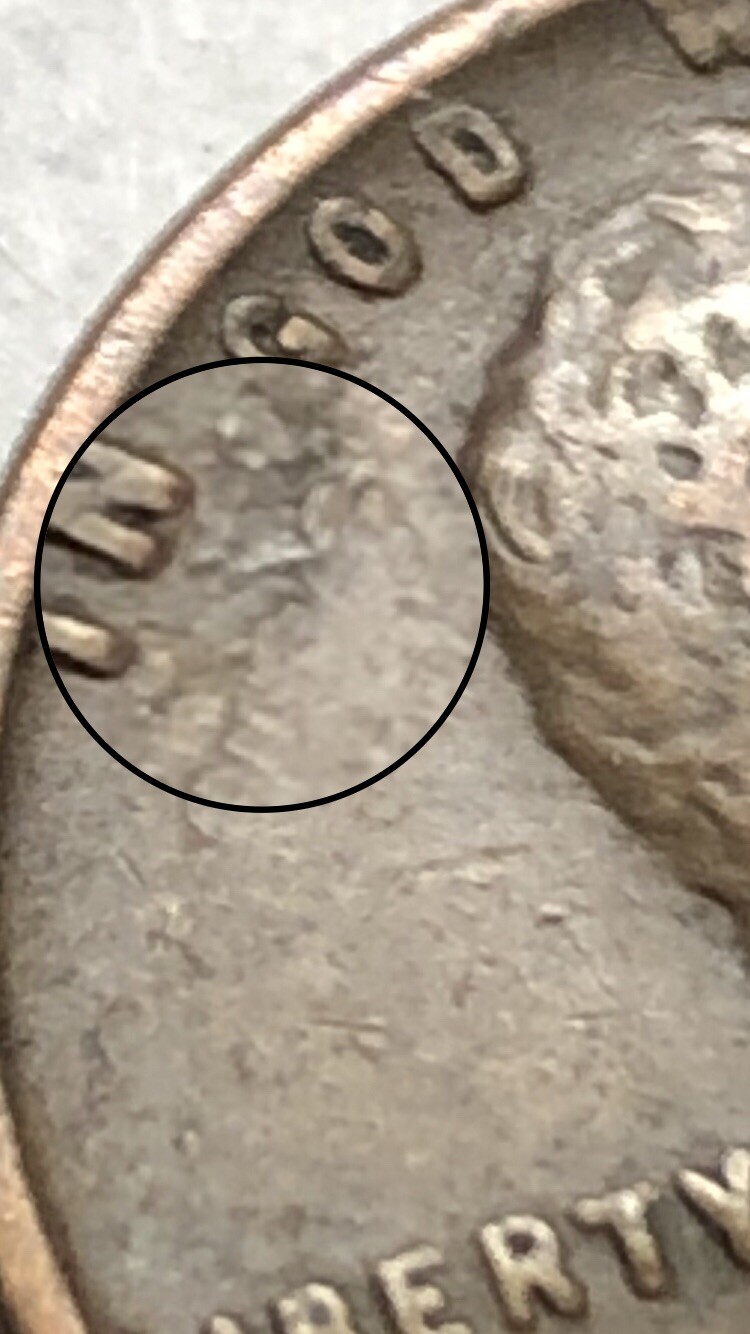 Picture 6 of 12