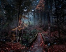 Landscape nature forest path fall leaves bulgaria trees Custom Gaming Mat Desk