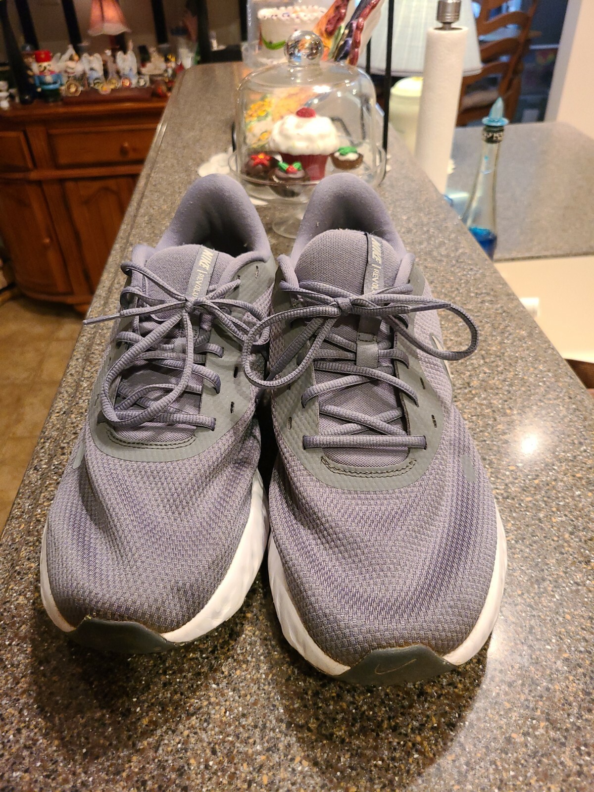 Nike Revolution BQ3204-005 Gray White 