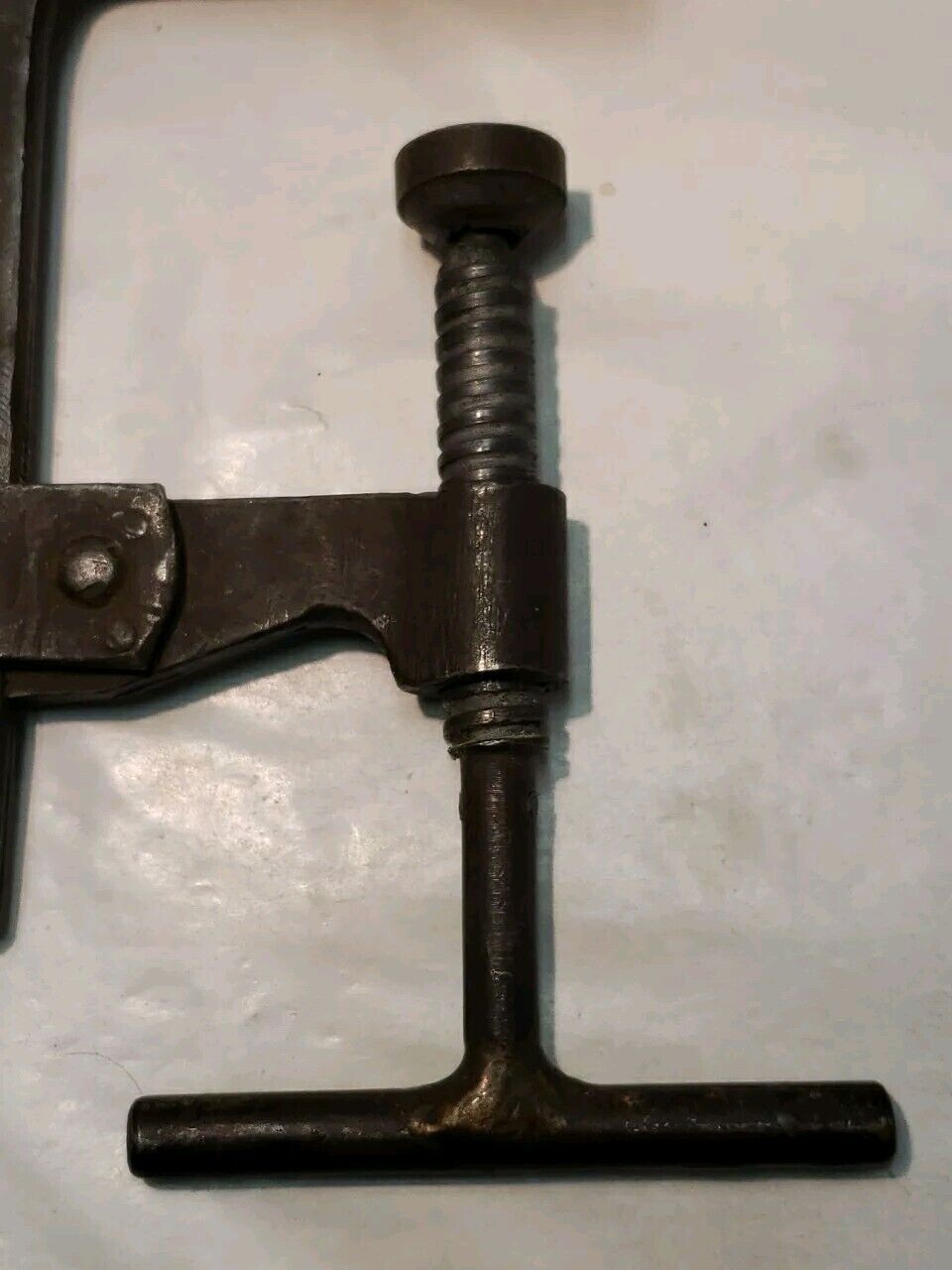 Foto 13 di 13