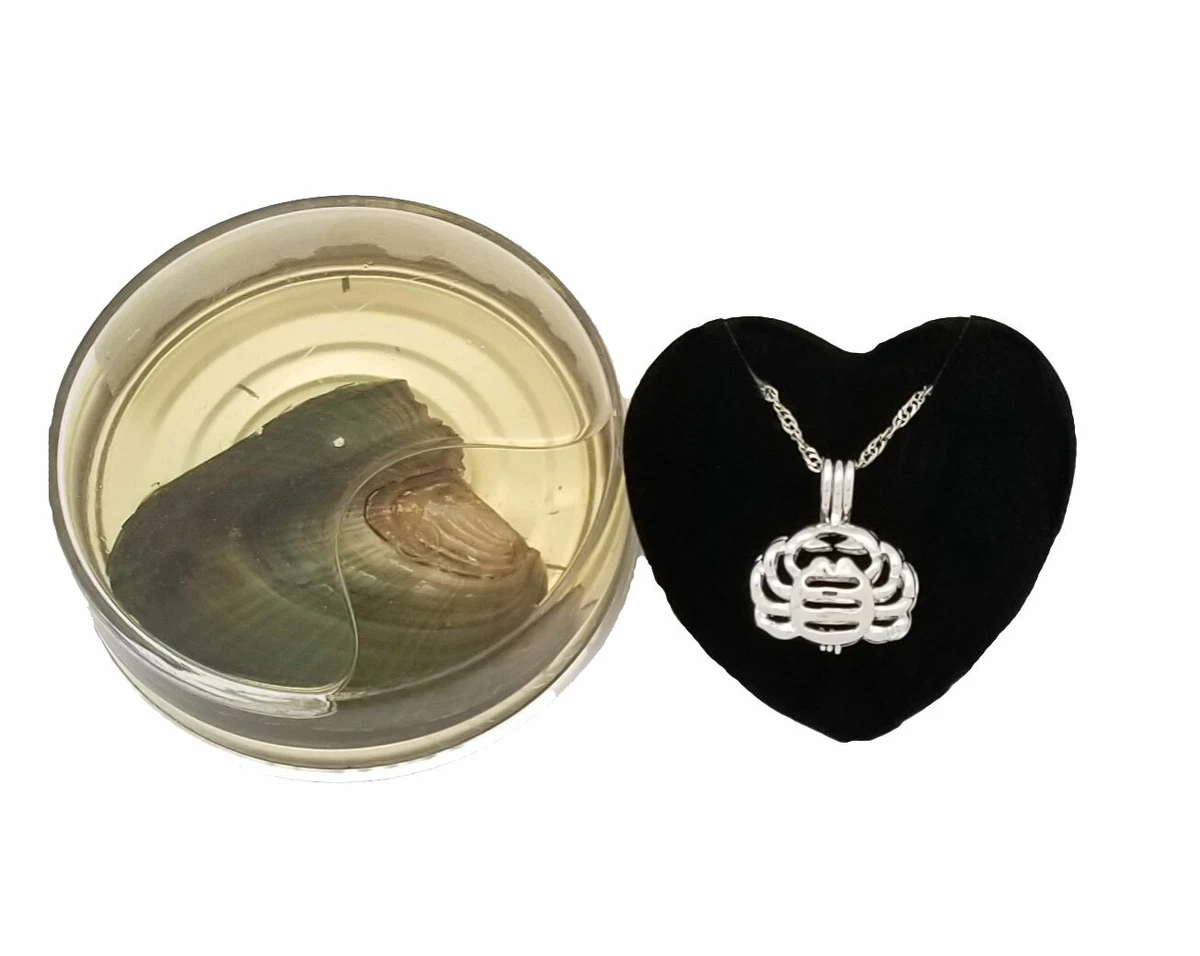 Zodiac sign pearl necklace online