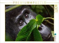 Calvendo Puzzle Watching You | 1000 Pieces, Finished Size 25.2 × 18.9 In (64 × 4