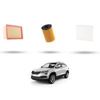 Hoffcar Set Service - 3 Filter Kompatibel Mit Skoda Karoq 1.6 Tdi 85Kw Von 20