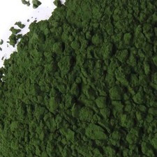 WholeSALE  Chlorella PREMIUM Algae Powder-4 oz, 1, 2, 5 lbs.