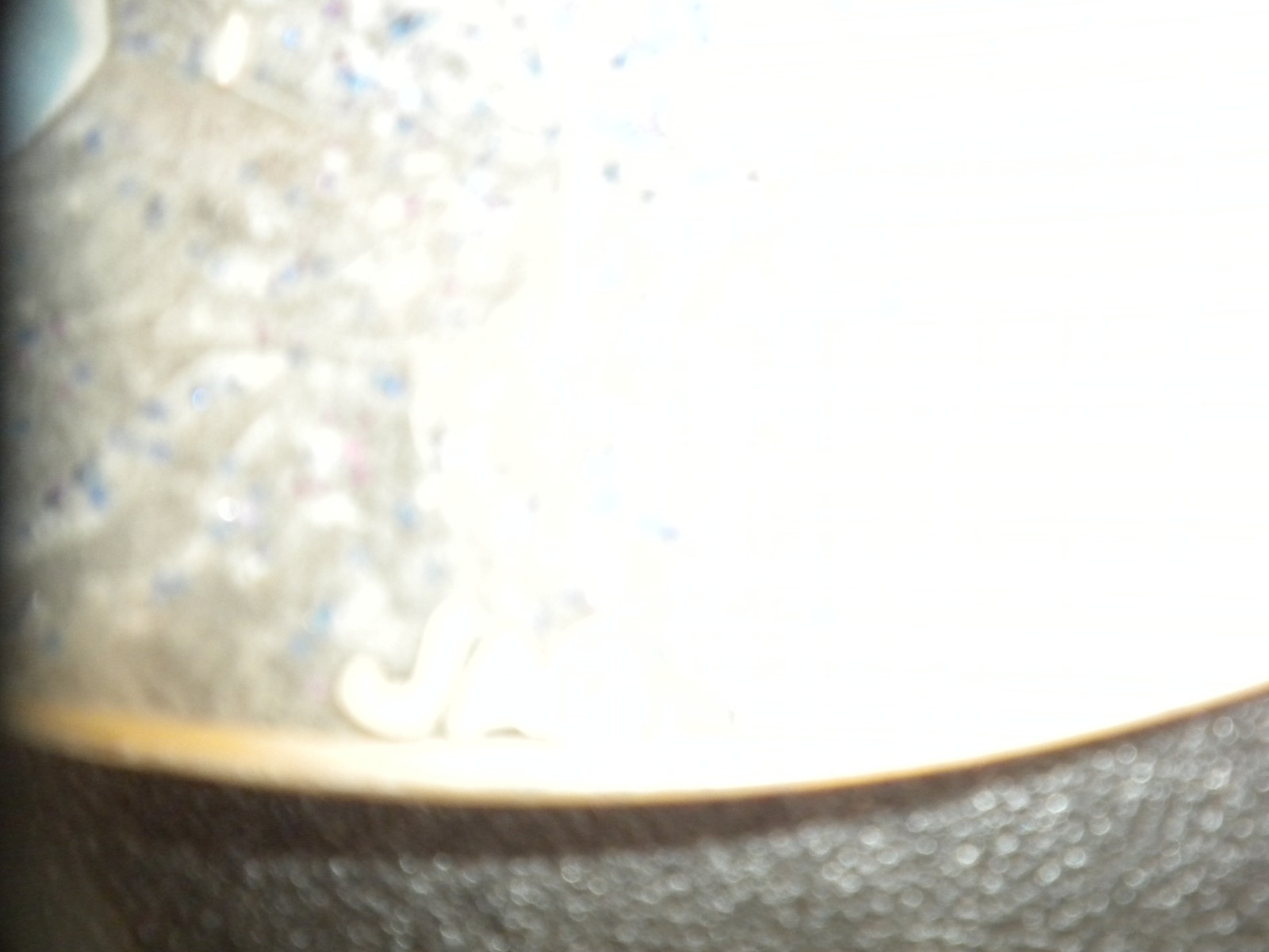 Picture 10 of 12