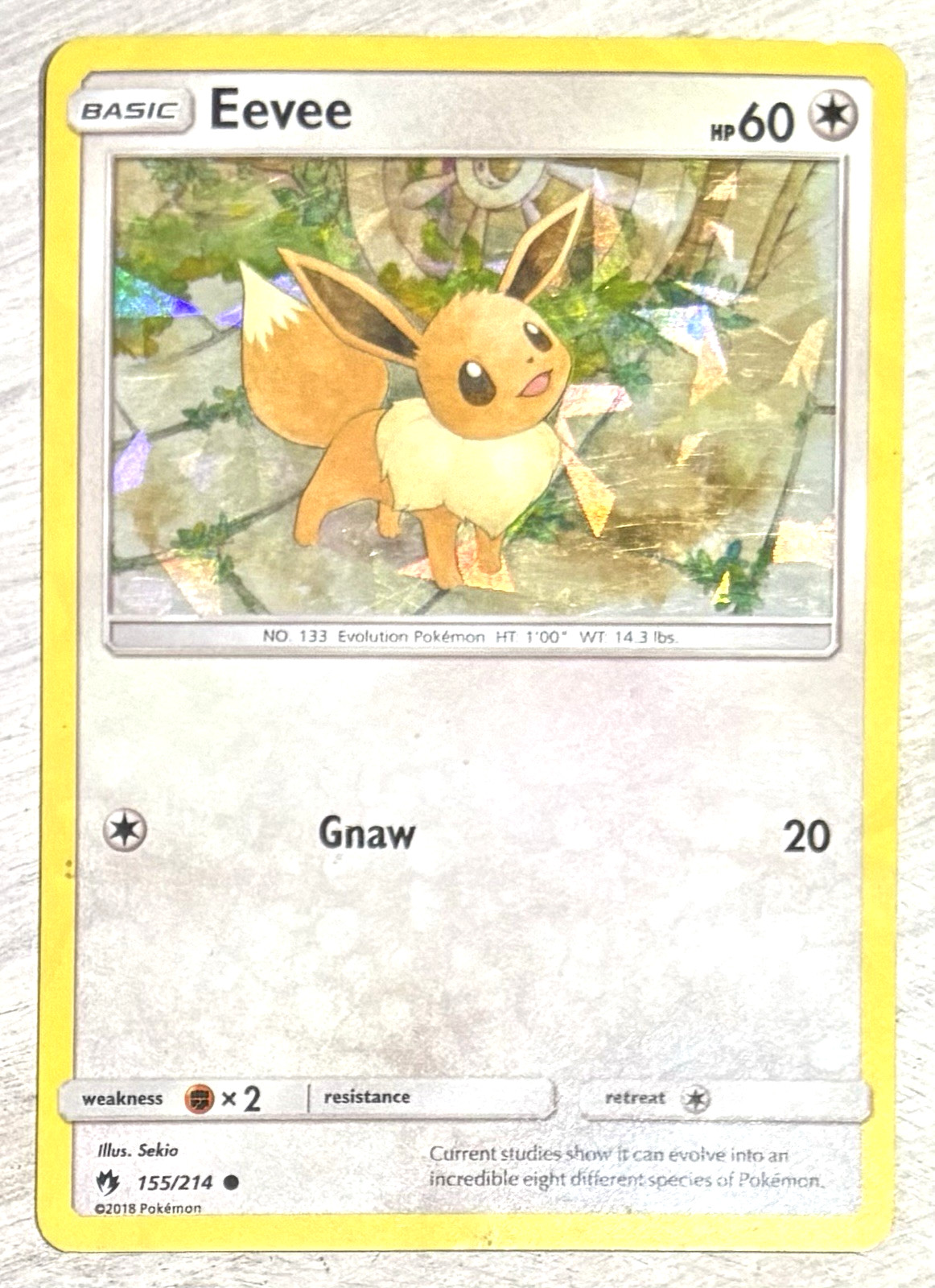 Eevee - Pokemon- 155/214 Lost Thunder Cracket Ice Holo Promo Card MINT