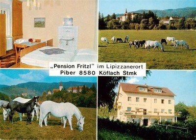 Koeflach Styria AT pension Fritzl guest room Lipizzaner on the pasture
