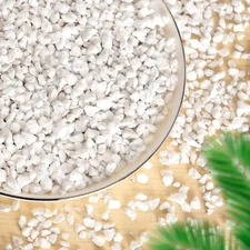Premium Quality Medium Coarse Perlite for Seed Starting & Nursery Plants