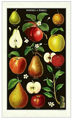Cavallini Geschirrtuch Pommes et Poires Äpfel Birnen 48 x 80 cm Baumwolle