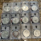 Lot Of 12 Coins 9 Silver Eagles, 2 Libertads And 1 Proof Dcam Peace Dollar