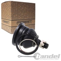 Febest Traggelenk Vorderachse Oben Passend FÜR Nissan NP300 Pick | 0220-WD22UF