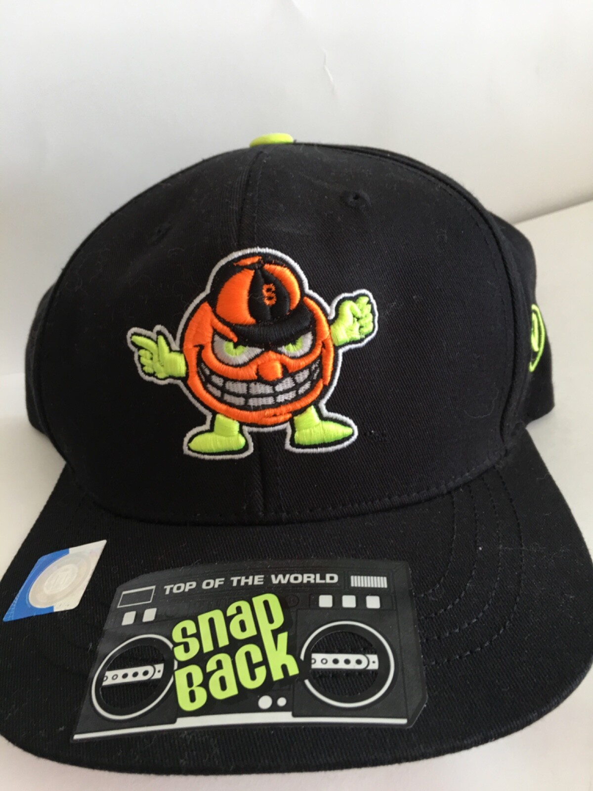 CAP TOP OF THE WORLD snap back 