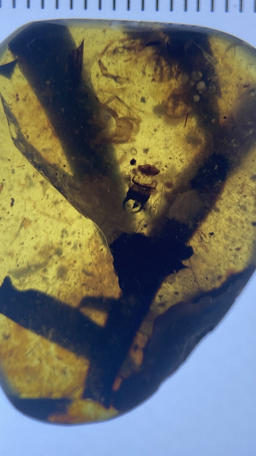 Picture 5 of 11