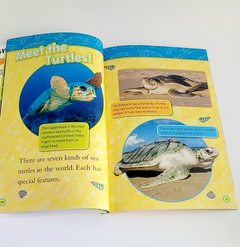 Level 2 Readers National Geographic Kids: Sharks & Sea Turtles 2 Book Lot - Picture 4 of 7