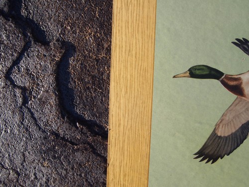 Vintage '50s Savage Stevens Fox Shotguns Mallard Store Countertop Cardboard Sign - Picture 11 of 15