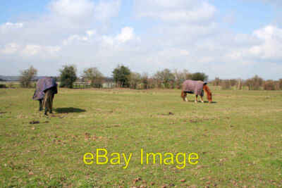 Photo 6x4 Pasture off Nathan's Lane Bassingfield Horses with their coats  c2008