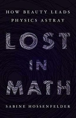 Lost in Math: How Beauty Leads Physics Astray Buch Basic Books
