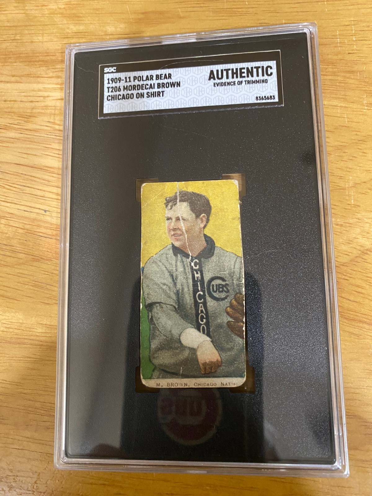 1909-11 T206 POLAR BEAR MORDECAI BROWN CHICAGO CUBS HOF PITCHER '3 FINGER BROWN'