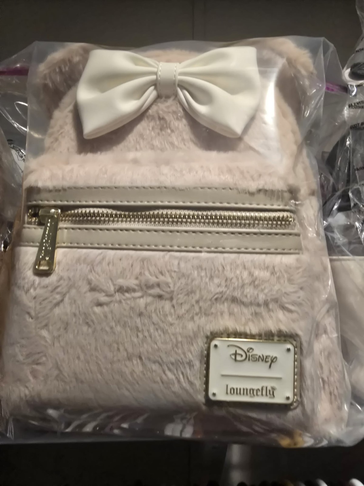 Beige Disney Parks