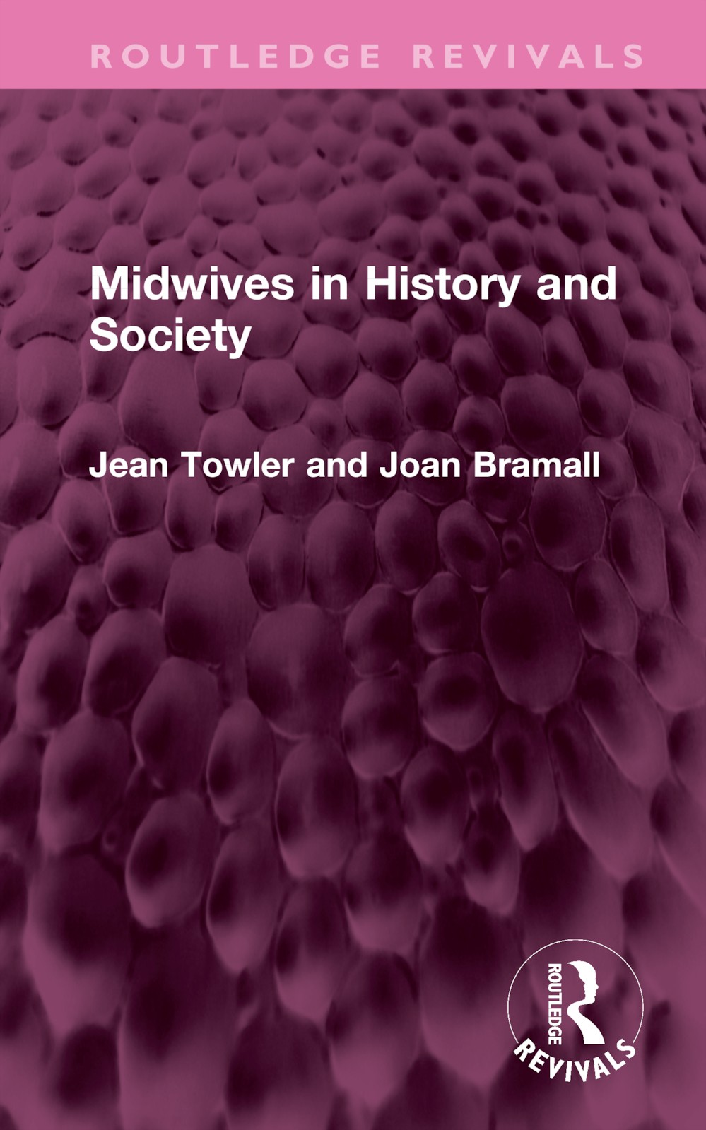 Midwives in History and Society by Jean Towler NEW - Image 4