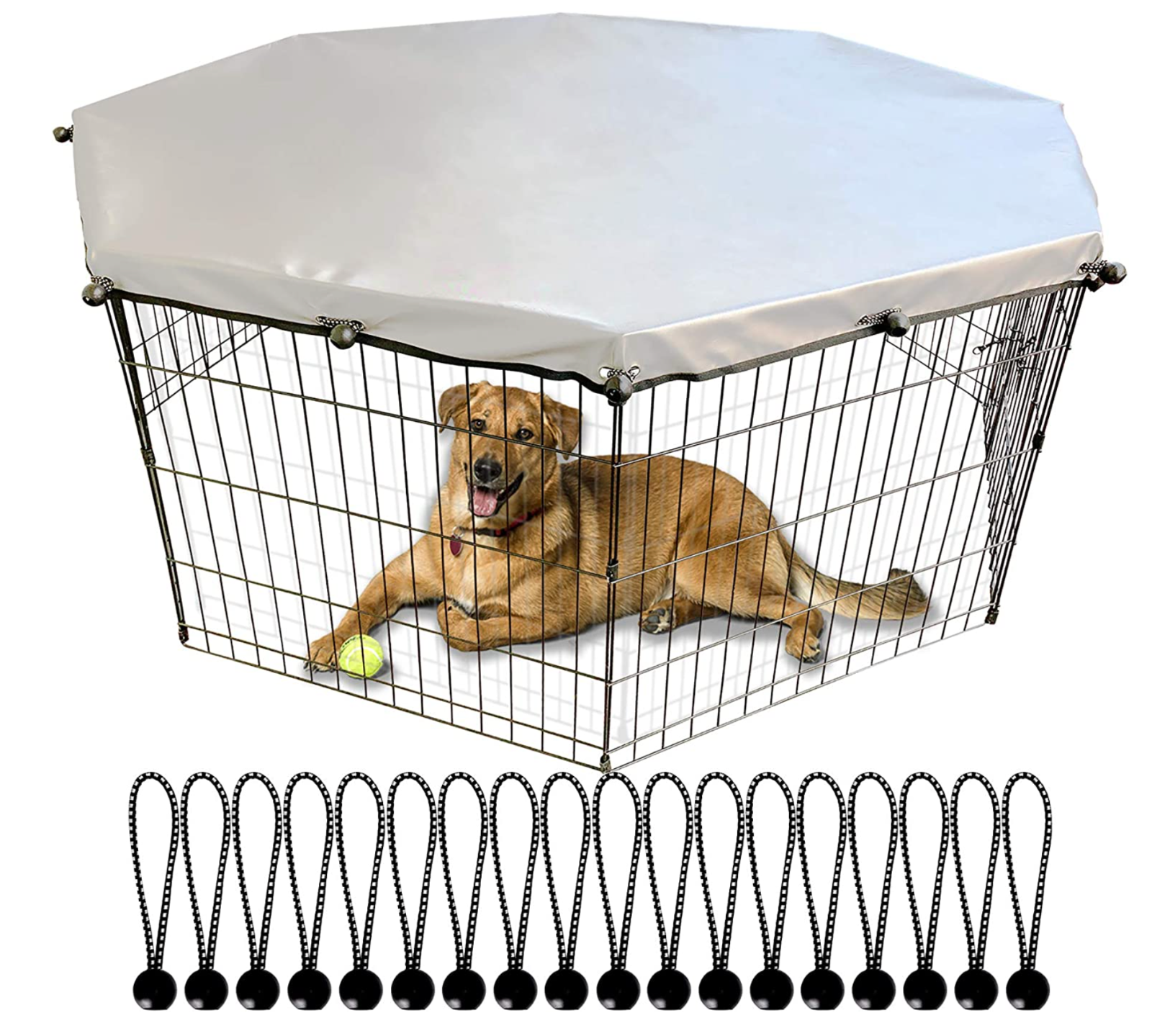 dog play yard with top