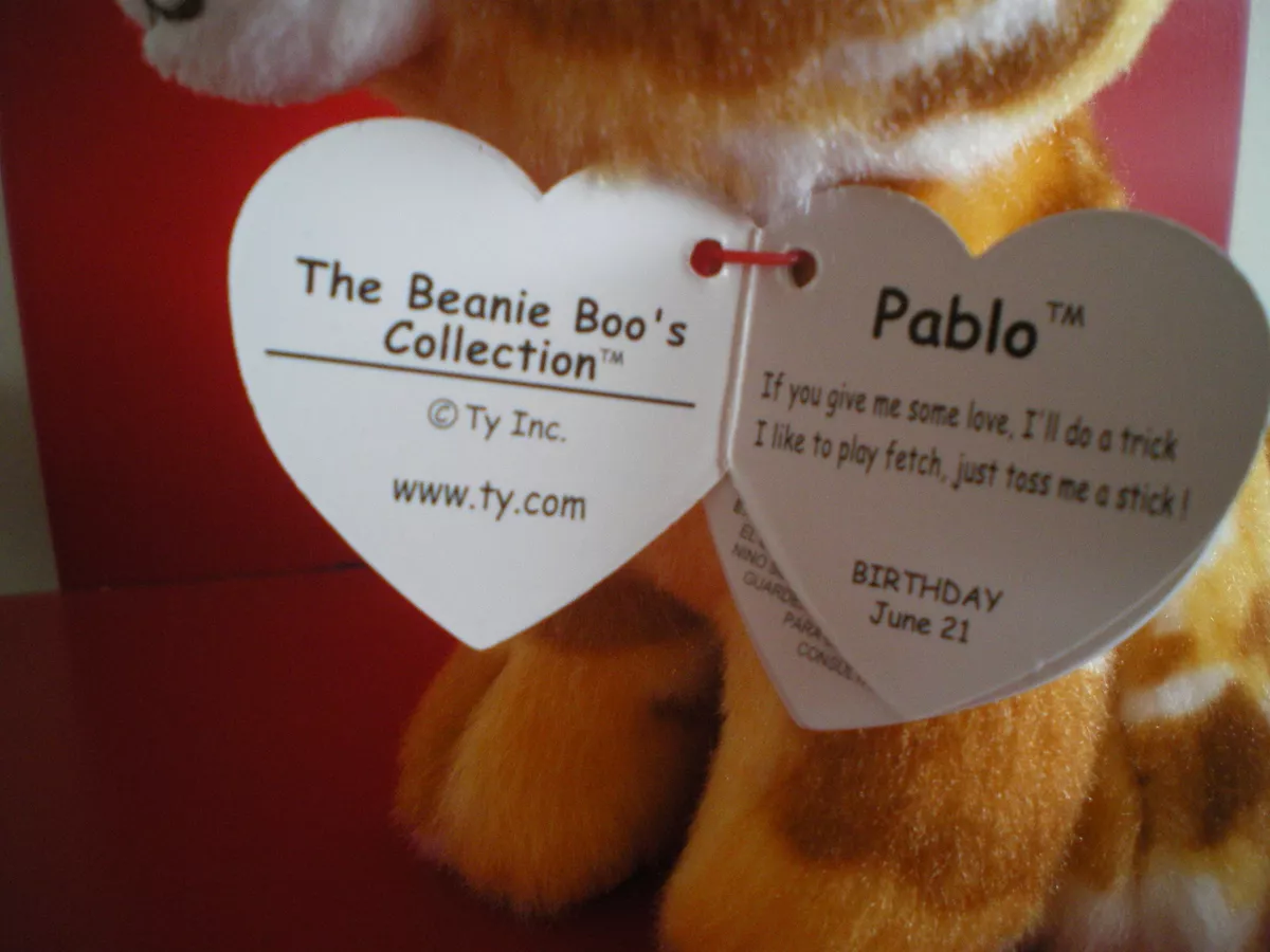 Ty Beanie Boos PABLO THE CHIHUAHUA dog 6 inch NWMT. BRAND NEW JUST ARRIVED