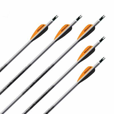 12x Komplettpfeil EASTON XX75 Platinum Plus Alu Spine 2213 Naturbef. 27 Zoll