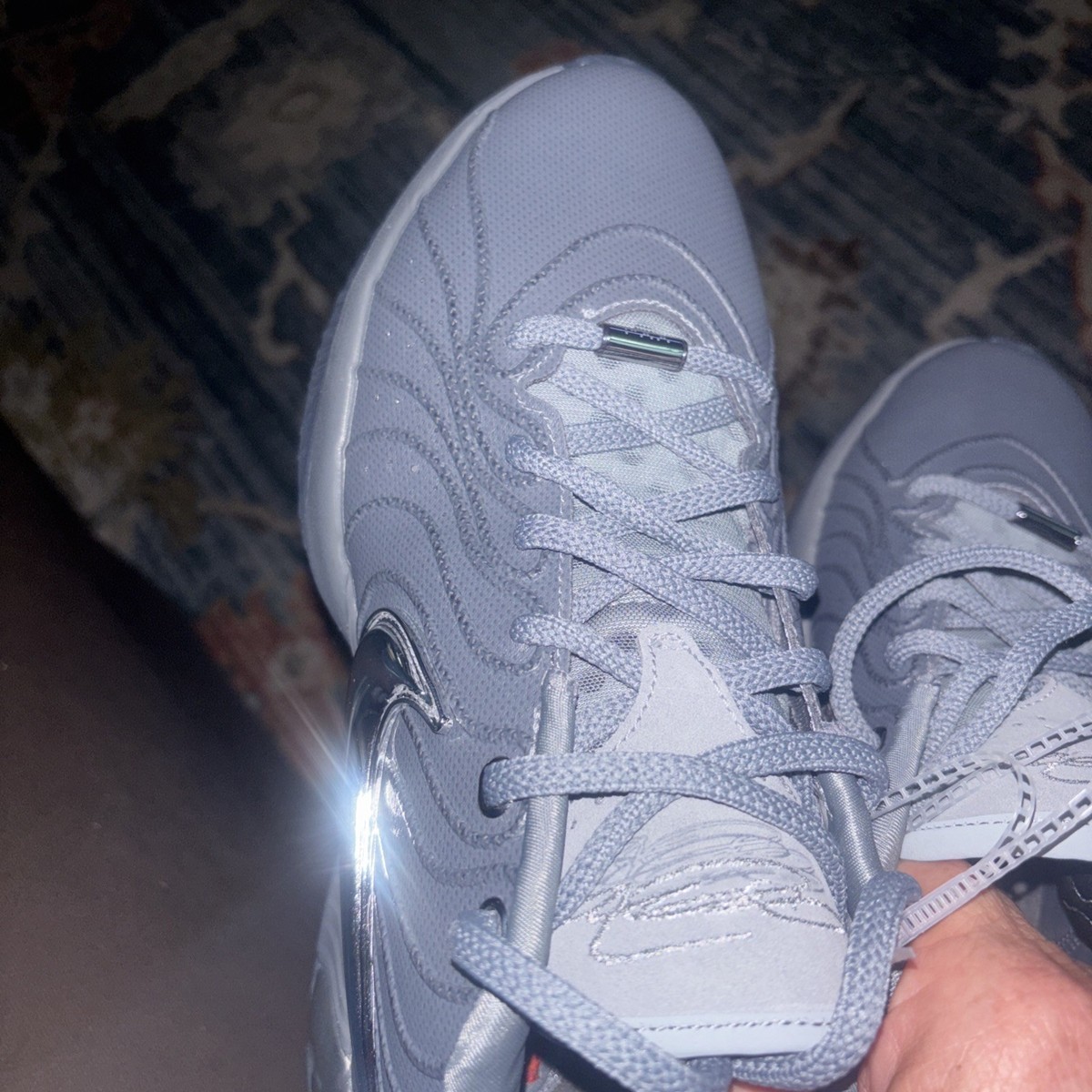 Nike LeBron 21 Resilience Cool Gray Metallic Silver HF5353-001