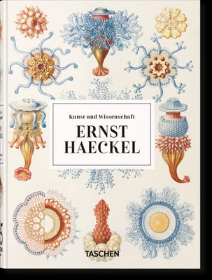 Ernst Haeckel Kunst und Wissenschaft Julia Voss (u. a.) Buch 45th Edition 512 S.