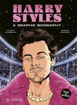 HARRY STYLES by ZAMBELLO, FILIPPO Hardback Self Help Business