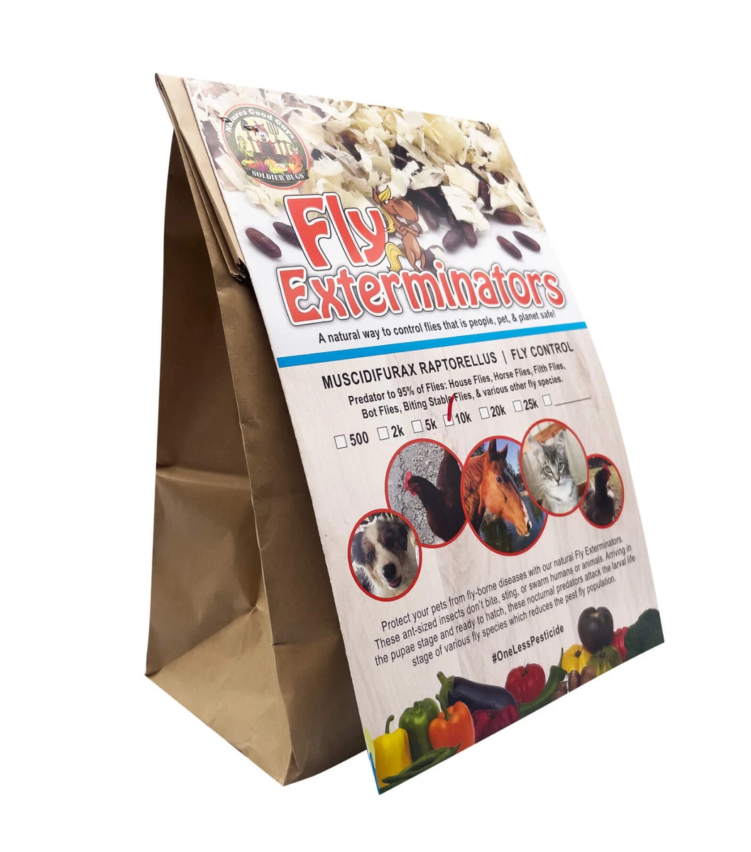 Fly exterminator sale
