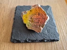 Original Medium 6 cm Piece of the BERLIN WALL on Slate Display + Certificate