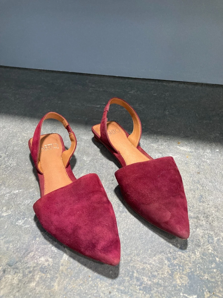 Graydon pointy toe store slingback flat