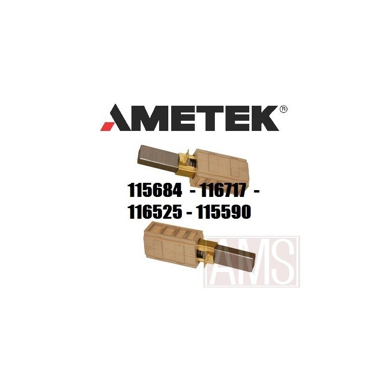 Charbons X2 Ametek pour aspirateur centralisé Duovac 3220 pièces moteur