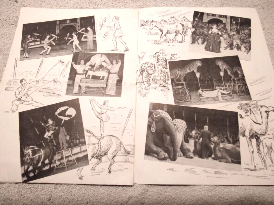 ALT PROSPEKT ZIRKUS BUSCH CIRCUS BUSCH  DDR 1956 - Bild 3 von 4