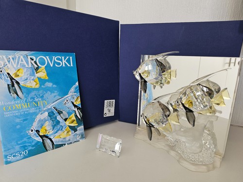 SWAROVSKI SCS 2007 'COMMUNITY' TARGA A COLORI OMAGGIO CON COMPRALO SUBITO - Foto 2 di 4