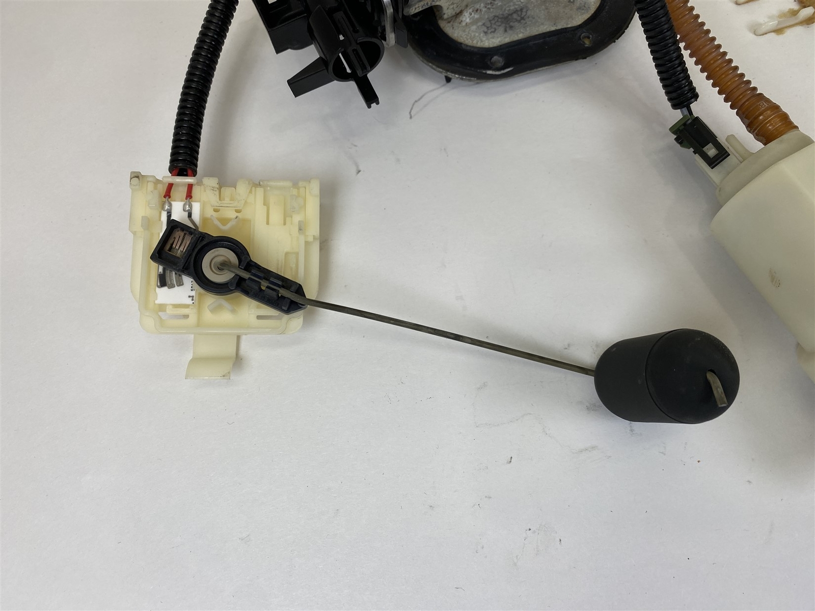 2010 HarleyDavidson Softail Convertible CVO Fuel Pump & Top Plate