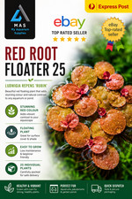 25 x Red Root Floater Live Aquarium Plant Pond Tank Fertiliser