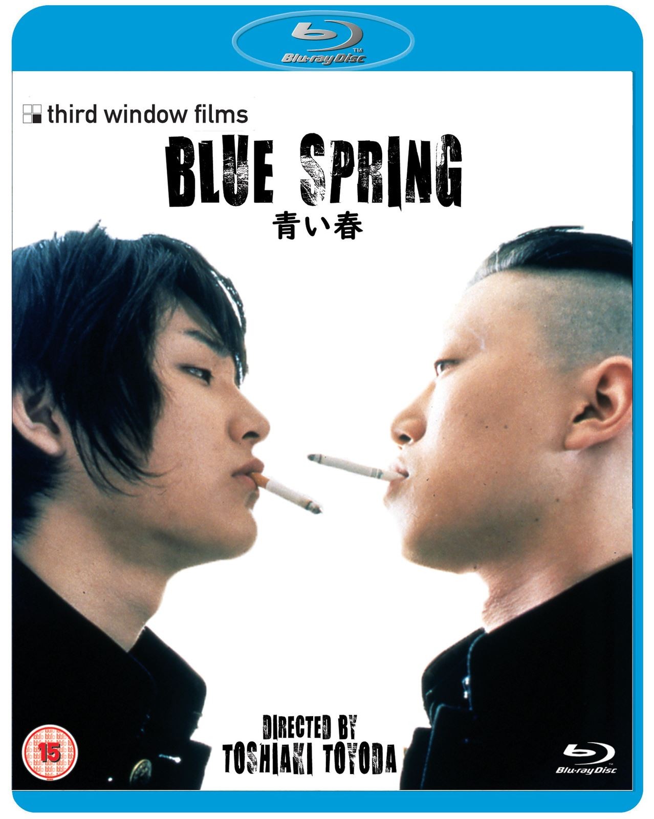 Blue Spring Third Window - Image 5