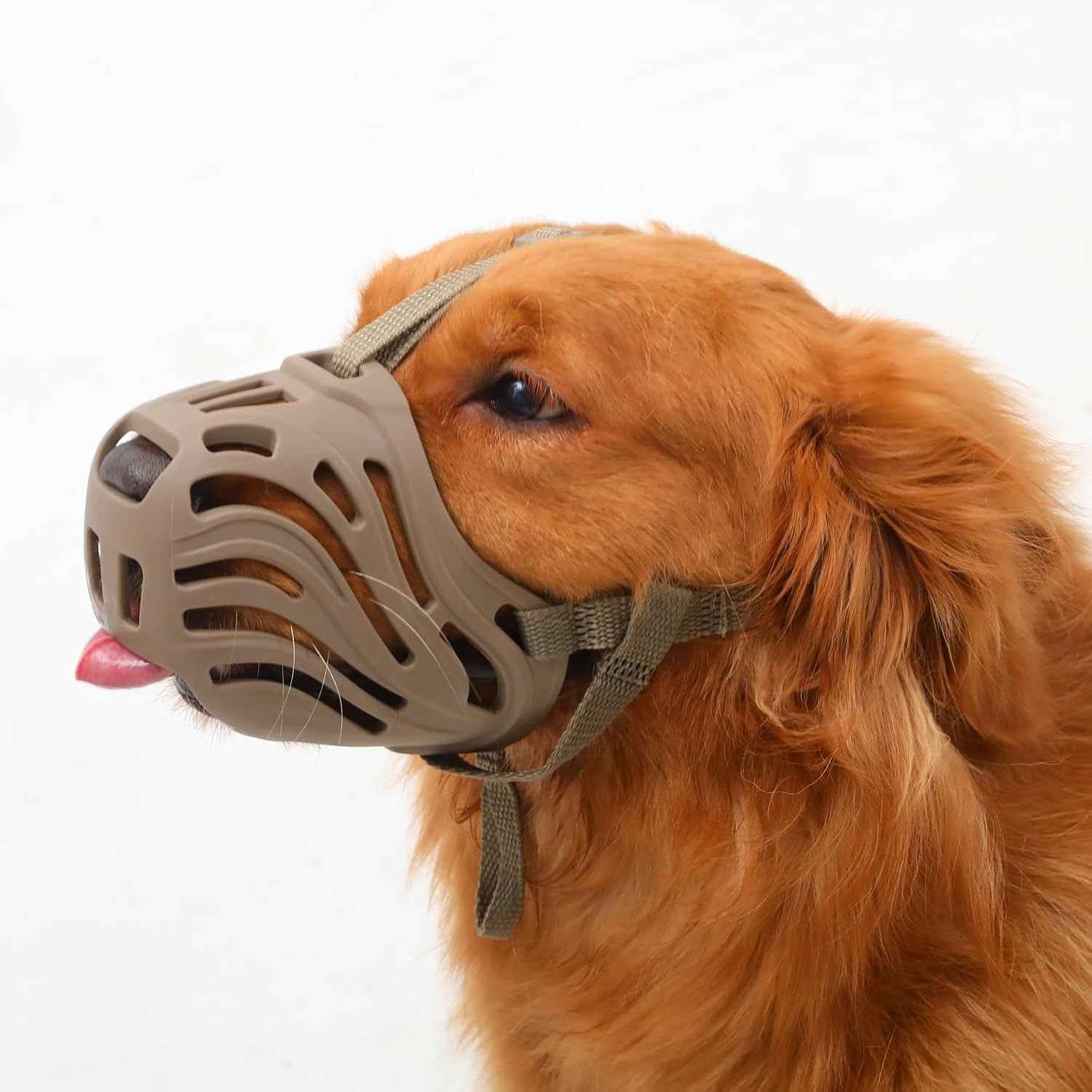 Museruola Cane Silicone Morbido Offerta | Anti Morso e Abbaio 100% Sicura