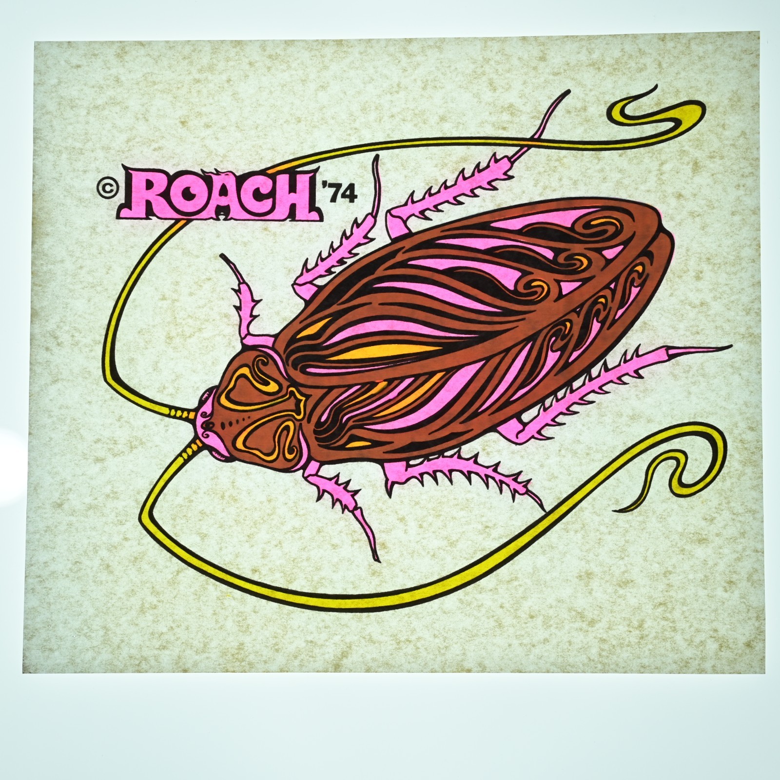 Original VINTAGE 1970s Heat Transfer | Roach Roach | Iron On