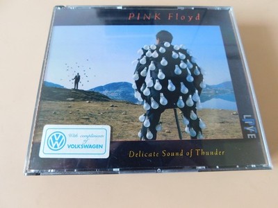 Pink Floyd - Delicate Sound of Thunder