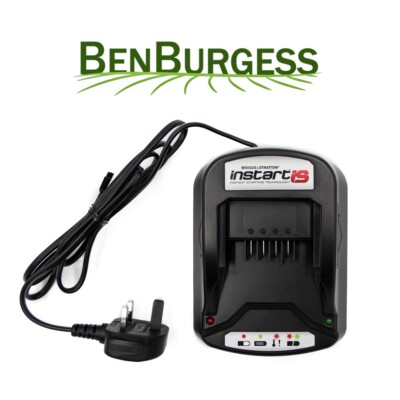 Briggs & Stratton Instart Battery Charger 593576 | eBay UK