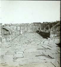 ALGERIA Timgad Roman Ruins c1910 Stereo Photo Glass Plate VR5L1n2