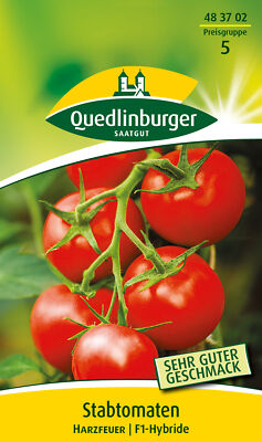 Stabtomaten Harzfeuer Samen von Quedlinburger Saatgut | eBay.de