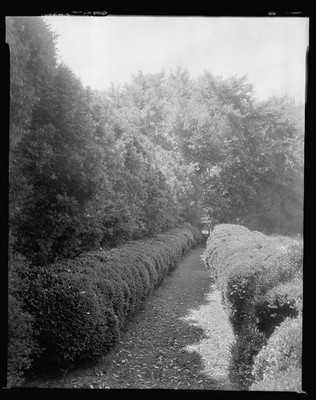 Tuckahoe,fences,gardens,plants,trees,hedges,VA,Virginia,Architecture,South,1936