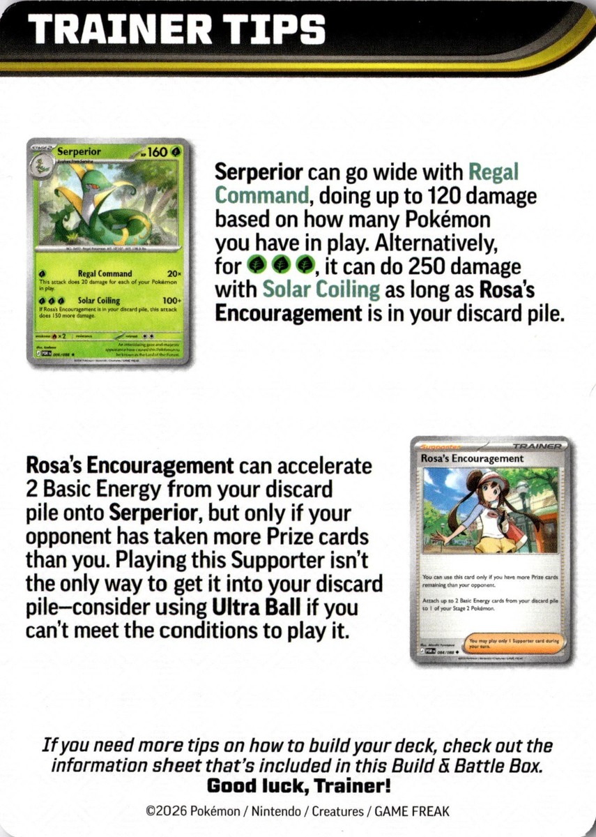 Mega Zygarde Perfect Order Trainer Tip Art Card | eBay