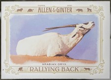 2021 Topps Allen & Ginter - Rallying Back Baseball Arabian Oryx #RB-4 NM
