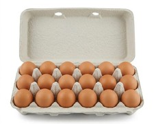Paper Pulp Egg Cartons for 18 Eggs or Use for Crafting, Parts Storage, Easter...